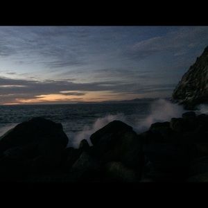 Meet your Posher, Rory